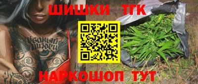 гашик Донской