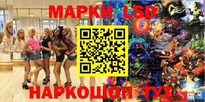 гашик Донской