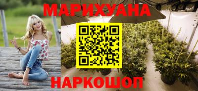 гашик Донской