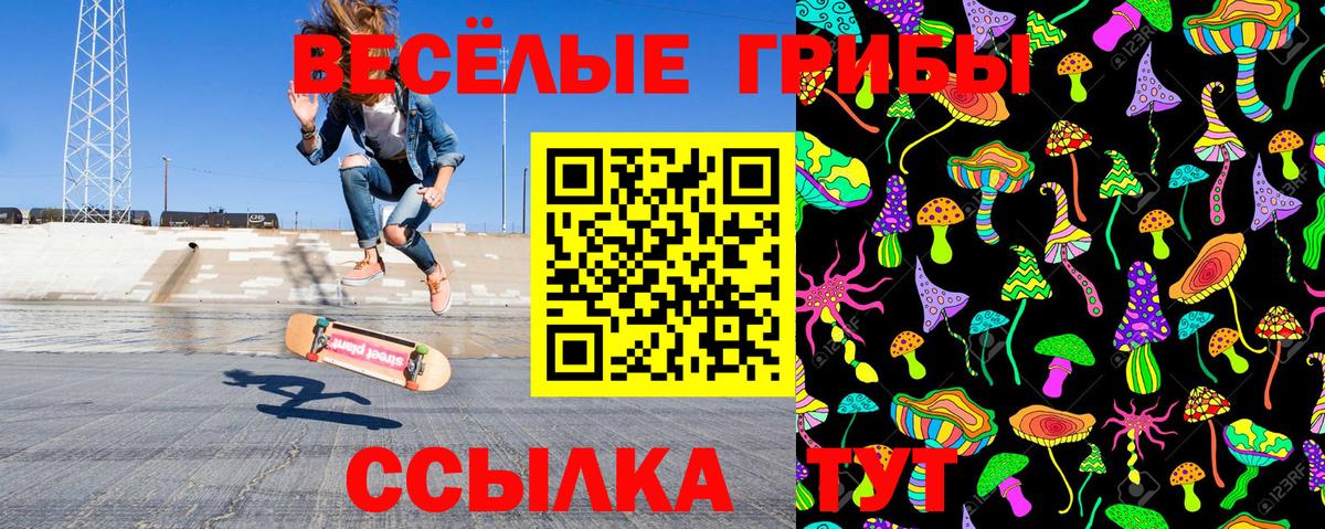 Псилоцибиновые грибы Psilocybe Новокубанск