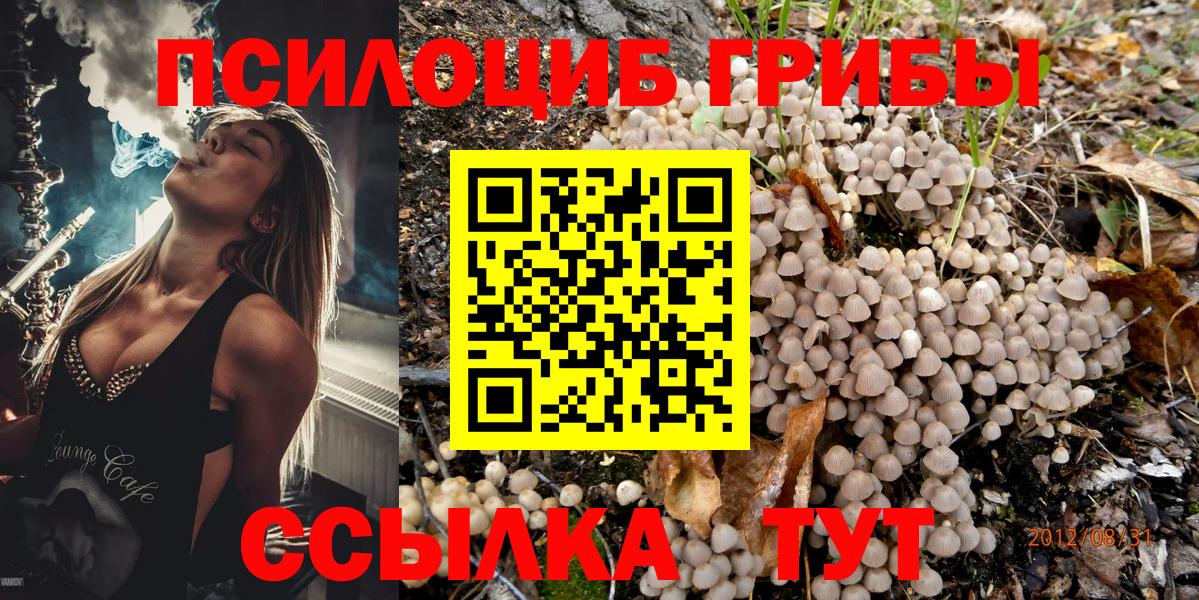 Галлюциногенные грибы Psilocybine cubensis  Вход с VPN  Новокубанск 