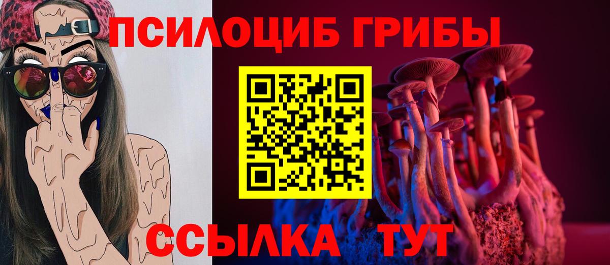 где найти наркотики  Новокубанск  Галлюциногенные грибы мухоморы 