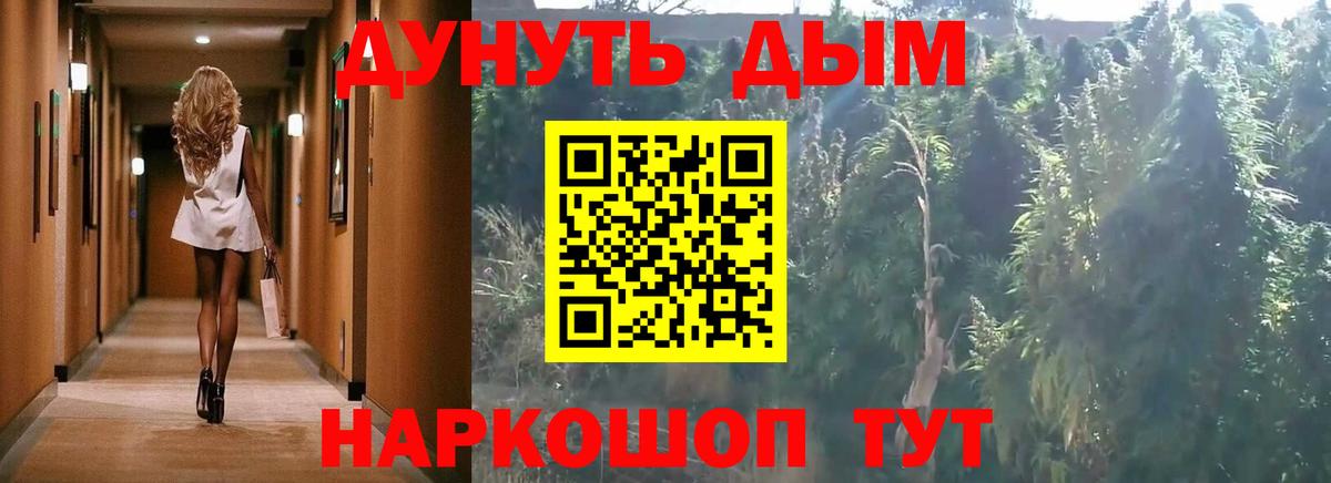 Конопля семена Новокубанск